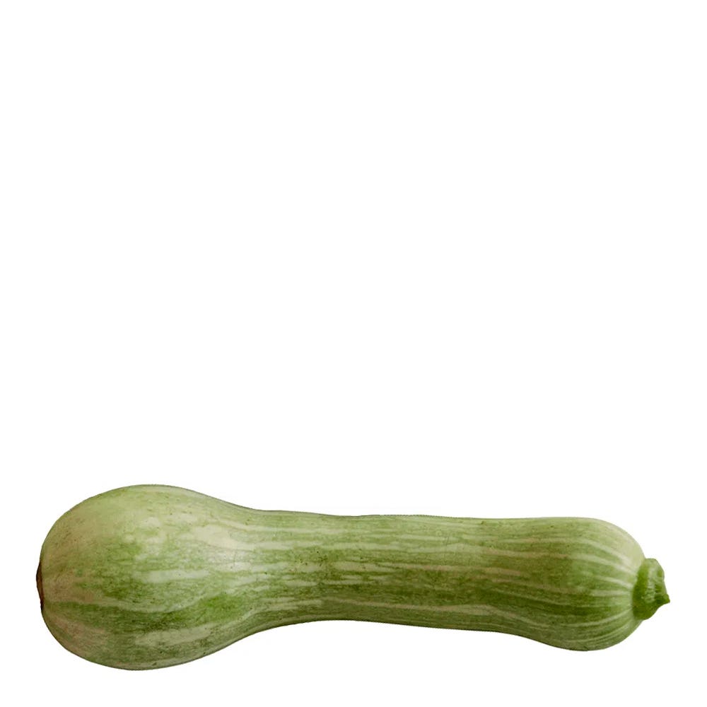 ABOBRINHA VERDE