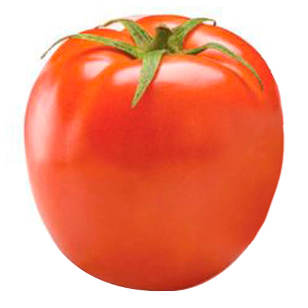 TOMATE DEBORA MOLHO